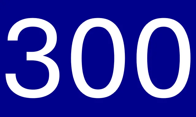 300. Mitglied